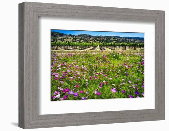 Napa Valley Wildflowers And Grapevines-George Oze-Framed Photographic Print