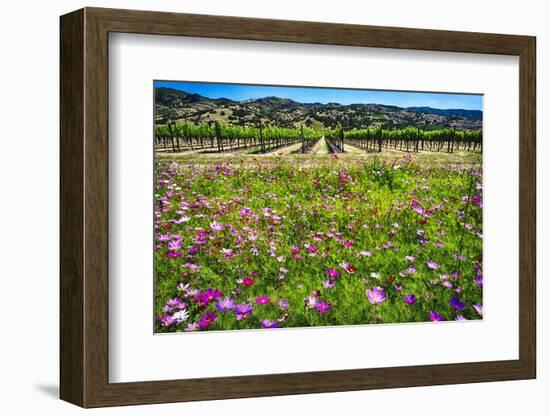 Napa Valley Wildflowers And Grapevines-George Oze-Framed Photographic Print