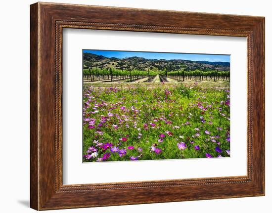 Napa Valley Wildflowers And Grapevines-George Oze-Framed Photographic Print