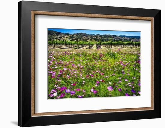 Napa Valley Wildflowers And Grapevines-George Oze-Framed Photographic Print