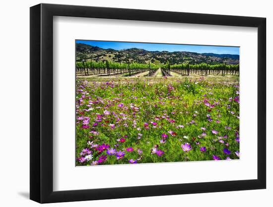 Napa Valley Wildflowers And Grapevines-George Oze-Framed Photographic Print