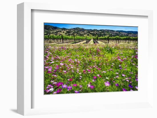 Napa Valley Wildflowers And Grapevines-George Oze-Framed Photographic Print