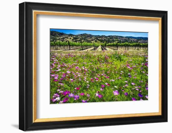 Napa Valley Wildflowers And Grapevines-George Oze-Framed Photographic Print