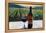 Napa Valley Wine Bottle with Red Wine-Markus Bleichner-Framed Stretched Canvas