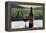 Napa Valley Wine Bottle with Red Wine-Markus Bleichner-Framed Stretched Canvas