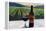 Napa Valley Wine Bottle with Red Wine-Markus Bleichner-Framed Stretched Canvas