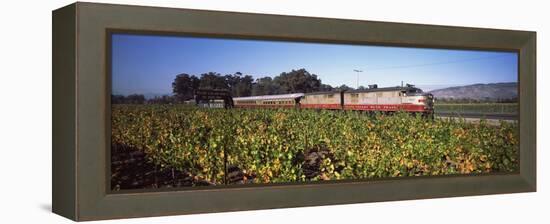 Napa Valley Wine Train Passing Through Vineyards, Napa Valley, California, USA-null-Framed Premier Image Canvas