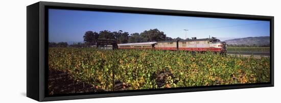 Napa Valley Wine Train Passing Through Vineyards, Napa Valley, California, USA-null-Framed Premier Image Canvas