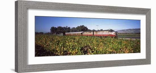 Napa Valley Wine Train Passing Through Vineyards, Napa Valley, California, USA-null-Framed Photographic Print