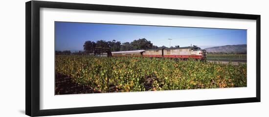 Napa Valley Wine Train Passing Through Vineyards, Napa Valley, California, USA-null-Framed Photographic Print