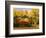 Napa Valley Wine Train Rolls through Rutherford, California, USA-John Alves-Framed Photographic Print