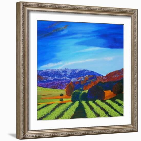 Napa Valley-Herb Dickinson-Framed Photographic Print