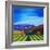 Napa Valley-Herb Dickinson-Framed Photographic Print