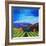 Napa Valley-Herb Dickinson-Framed Photographic Print