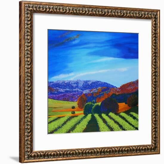 Napa Valley-Herb Dickinson-Framed Photographic Print