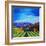 Napa Valley-Herb Dickinson-Framed Photographic Print