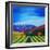 Napa Valley-Herb Dickinson-Framed Photographic Print