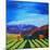 Napa Valley-Herb Dickinson-Mounted Photographic Print
