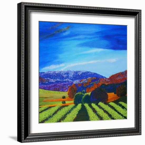 Napa Valley-Herb Dickinson-Framed Photographic Print