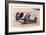 'Napier Railton (John Cobb)', 1938-Unknown-Framed Giclee Print