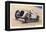 'Napier Railton (John Cobb)', 1938-Unknown-Framed Premier Image Canvas