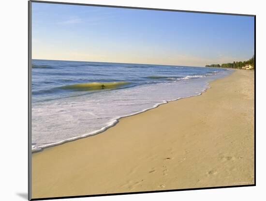 Naples Beach, Florida, USA-Fraser Hall-Mounted Photographic Print