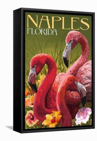Naples, Florida - Flamingos-Lantern Press-Framed Stretched Canvas