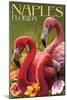 Naples, Florida - Flamingos-Lantern Press-Mounted Art Print