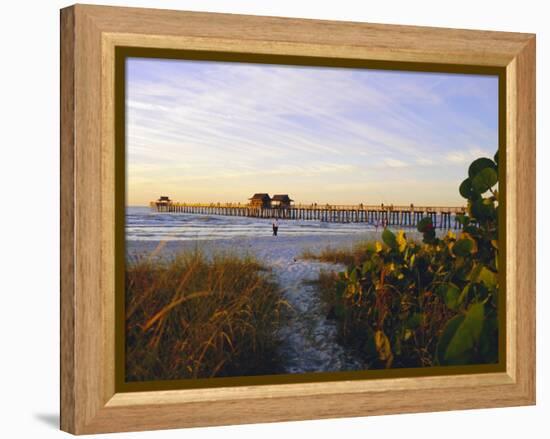 Naples, Florida, USA. Sunset at the Beach and Pier-Fraser Hall-Framed Premier Image Canvas