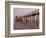 Naples Pier, Naples, Florida, USA-Walter Bibikow-Framed Photographic Print