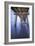 Naples Pier Vertical-Moises Levy-Framed Photographic Print