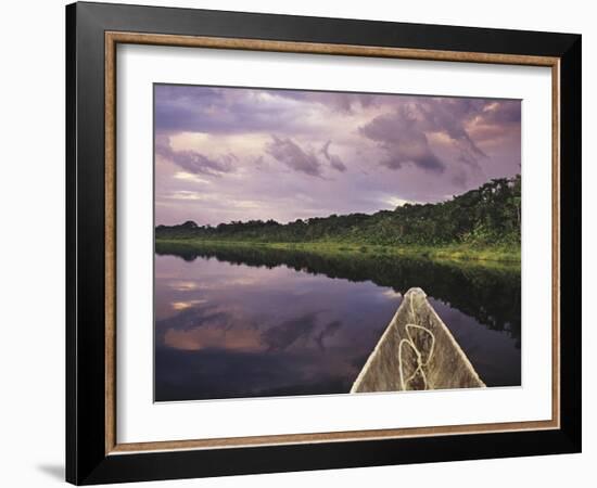 Napo Wildlife Center, Yasuni National Park, Amazon Basin, Ecuador-Christopher Bettencourt-Framed Photographic Print