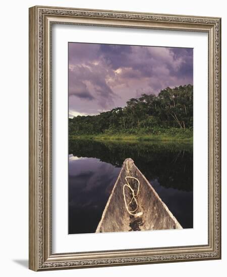 Napo Wildlife Center, Yasuni National Park, Amazon Basin, Ecuador-Christopher Bettencourt-Framed Photographic Print