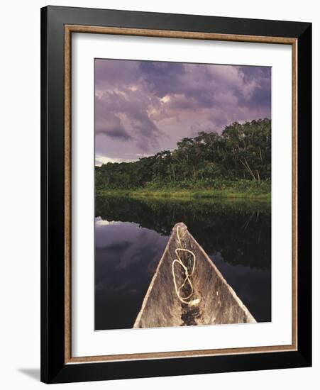 Napo Wildlife Center, Yasuni National Park, Amazon Basin, Ecuador-Christopher Bettencourt-Framed Photographic Print