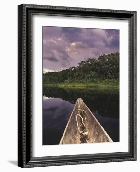 Napo Wildlife Center, Yasuni National Park, Amazon Basin, Ecuador-Christopher Bettencourt-Framed Photographic Print