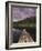 Napo Wildlife Center, Yasuni National Park, Amazon Basin, Ecuador-Christopher Bettencourt-Framed Photographic Print