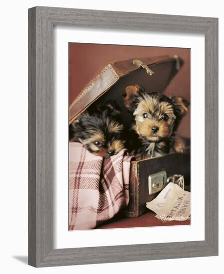 Napoleon and Romeo-Rachael Hale-Framed Photo