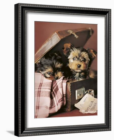 Napoleon and Romeo-Rachael Hale-Framed Photo