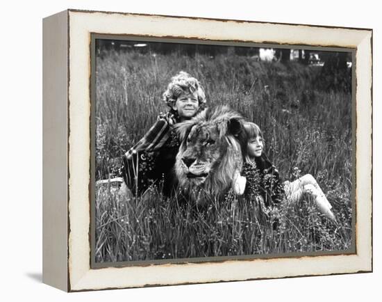 Napoleon and Samantha Avec Johnny Whitaker Et Jodie Foster 1972-null-Framed Stretched Canvas