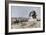 Napoleon and the Sphinx at the Time of the French Invasion of Egypt, c.1798-null-Framed Giclee Print