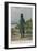 Napoleon at St Helena-null-Framed Giclee Print