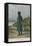 Napoleon at St Helena-null-Framed Premier Image Canvas