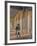 Napoleon Bonaparte Among the Ruins of the Tuileries Palace-null-Framed Giclee Print