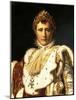 Napoleon Bonaparte in Emperor's Rodes-Francois Gerard-Mounted Giclee Print