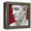 Napoleon Bonaparte marble sculpture by Antonio Canova-Antonio Canova-Framed Premier Image Canvas