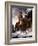 Napoleon Crossing the Alps, 1850-Hippolyte Delaroche-Framed Giclee Print