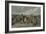 Napoleon Decorating the Russian Grenadier at Tilsitt-null-Framed Giclee Print