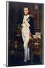 Napoleon Emperor Circa 1804-Jacques-Louis David-Mounted Photographic Print