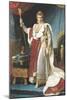 Napoleon I in His Coronation Robe, circa 1804-Francois Gerard-Mounted Giclee Print