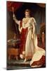 Napoleon in Coronation Robes, circa 1804-Francois Gerard-Mounted Giclee Print